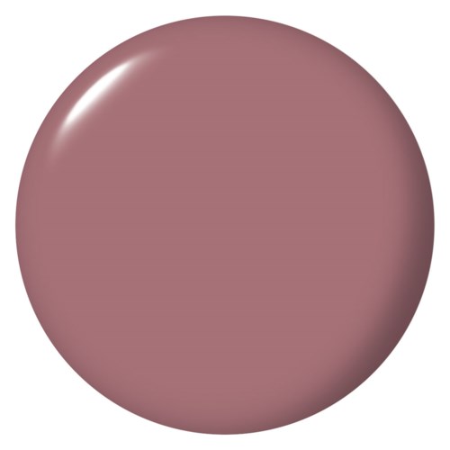A round, shiny, pinkish-brown object with a smooth surface and a light reflection.