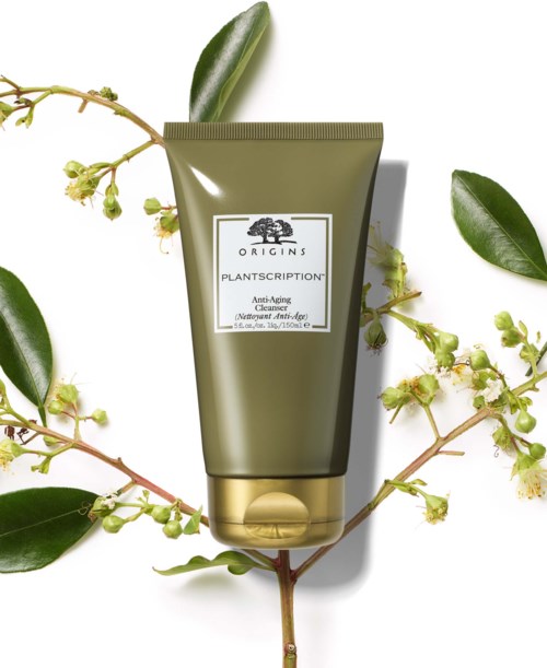 Eine grüne Tube mit Hautpflegecreme, umgeben von grünen Blättern und kleinen Blumen.