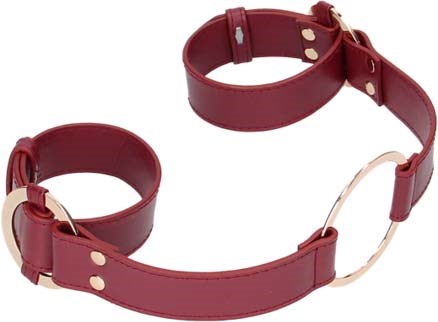 Ein Paar rote Lederriegel mit goldfarbenen Metallteilen und verstellbaren Gurten.