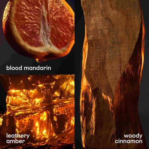 Das Bild zeigt Blutorange, holzigen Zimt und Leder-bernstein mit warm leuchtenden Texturen.