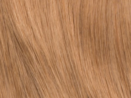 Poze Hairextensions Poze Keratin Standard 50cm 10B Sand Blonde