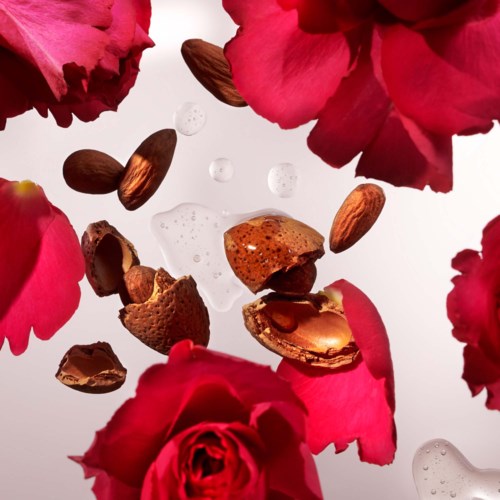 Pinkfarbene Rosen und Mandeln fallen, mit einigen Wassertropfen oder Flüssigkeit.