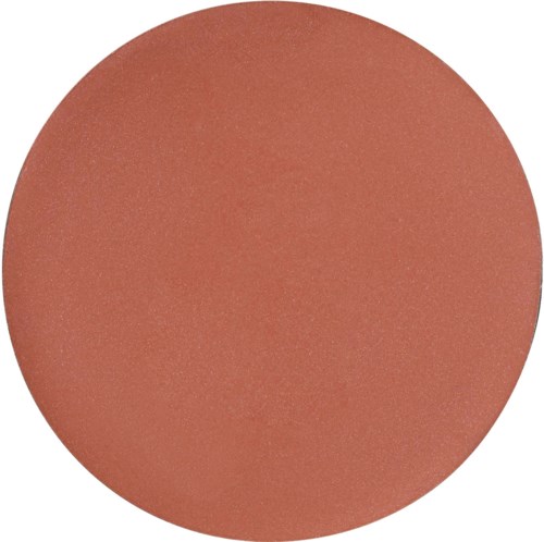 A large, solid reddish-brown circle with no other visible elements or text.