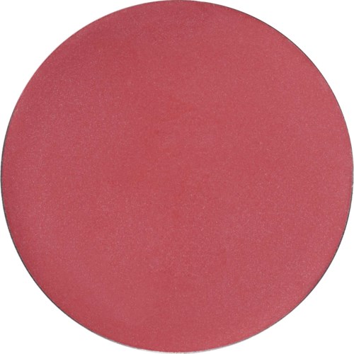 A large, plain pink circle with no details or text.
