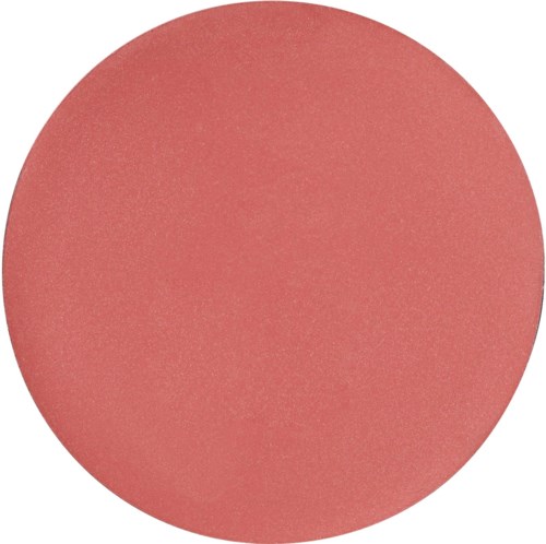 A large pink circle with a textured surface and no other elements.