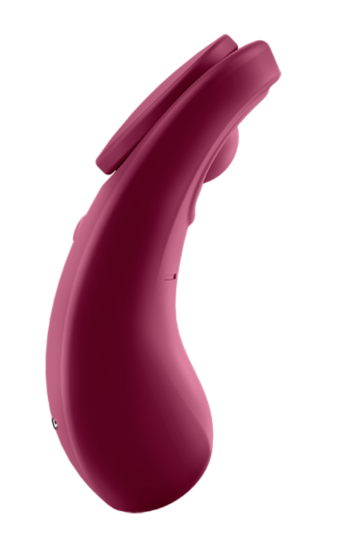 Satisfyer Sexy Secret Wine Red