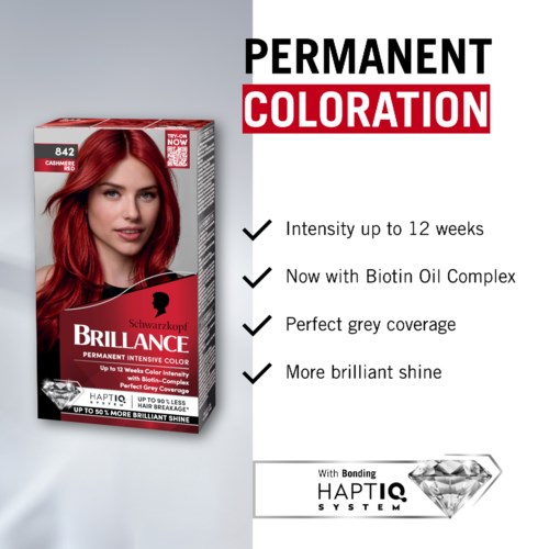 Schwarzkopf Brilliance 842 Cashmere