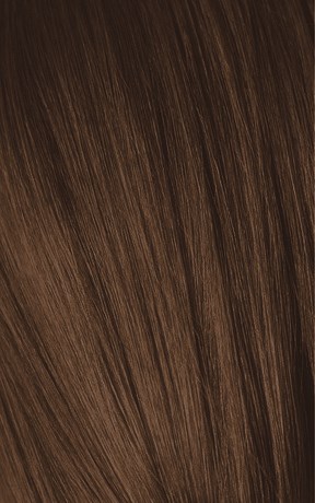 Lange, glatte, glänzende braune Haare mit dezenten Highlights.