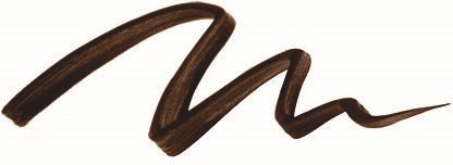 Eine braune, keilförmige, wellige Signatur oder Linie auf weißem Hintergrund.