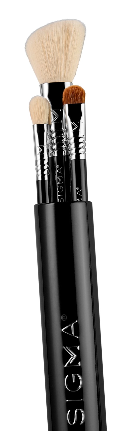 A set of three makeup brushes with black handles and white bristles, different sizes and shapes for various uses.