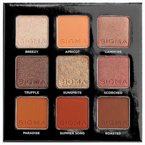 Nine eyeshadow shades in a black case, named Breezy, Apricot, Campfire, Truffle, Sunspirit, Scorched, Paradise, Summer Song, Roasted.