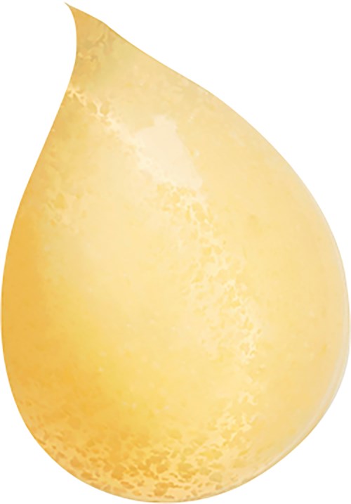 Een grote, gele, druppelvormige vrucht met een glad oppervlak.
