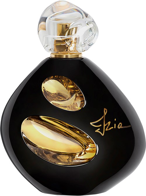 Eine schwarze Parfümflasche mit goldenen Akzenten und einem klaren, runden Verschluss, der wie Glas aussieht.