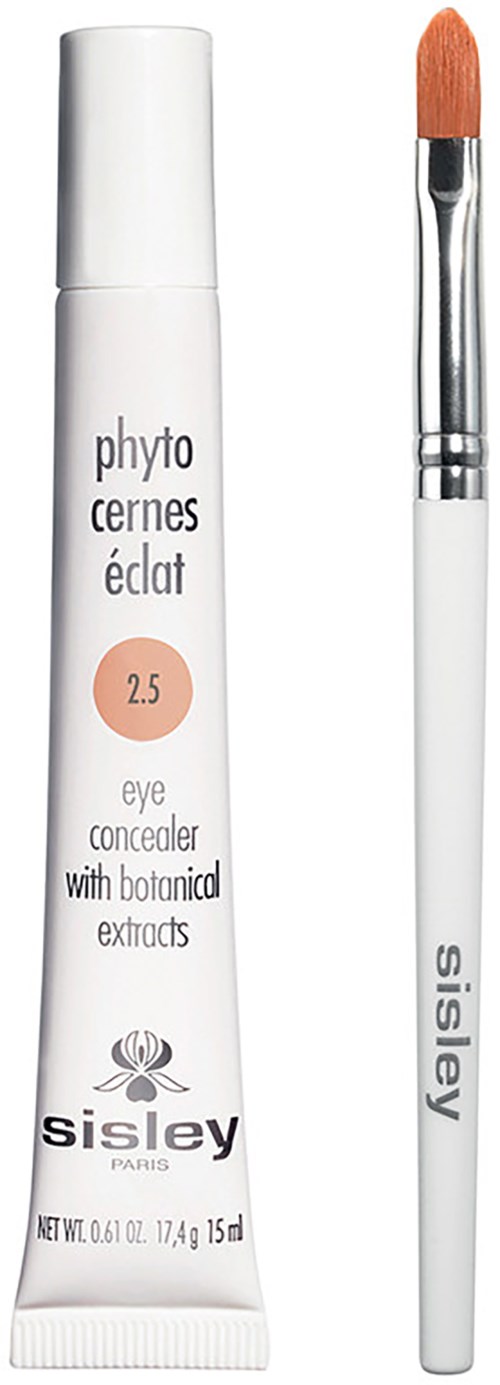 Eine weiße Tube mit Augenconcealer mit pflanzlichen Extrakten und Pinsel.