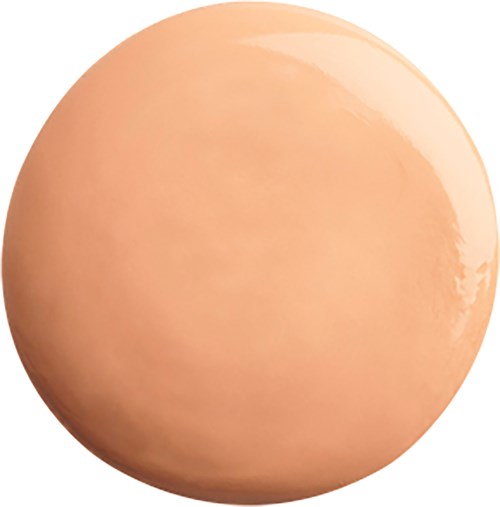A brown chicken egg with a smooth surface and shiny appearance.