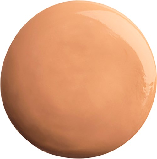A large, smooth, round, brown egg with a shiny surface.