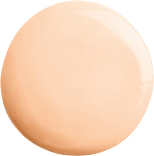 A smooth, peach-colored, round object with some light reflections and shading on surface.