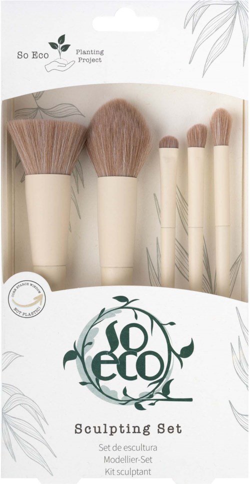 Set of five natural-colored makeup brushes in a white box with plant illustrations and the brand name Develop.