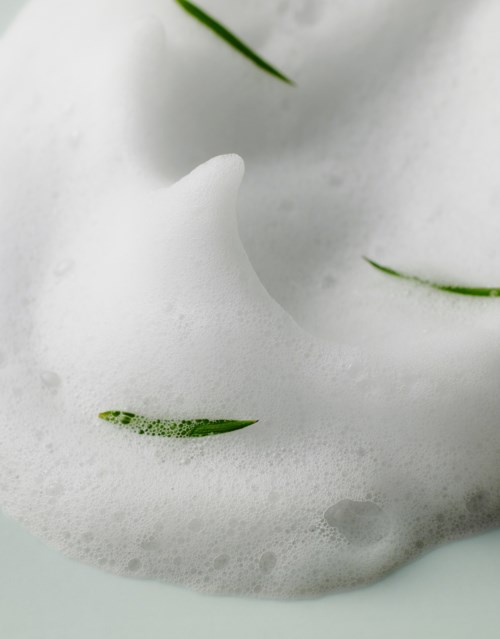Soft foam with some green plant parts visible inside, creating a natural, airy feel.