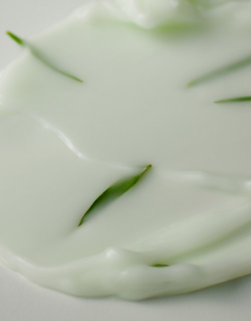 A creamy, white yogurt with green fruit pieces, possibly kiwi, mixed in.