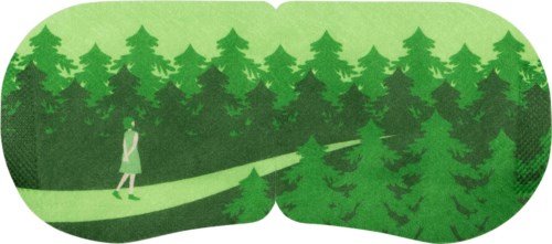 Een persoon wandelt op een pad door een bos met veel groene dennenbomen.