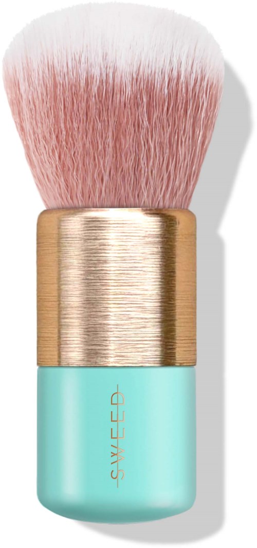 A makeup brush with pink bristles, a gold ferrule, and a blue handle labeled STYLECC.