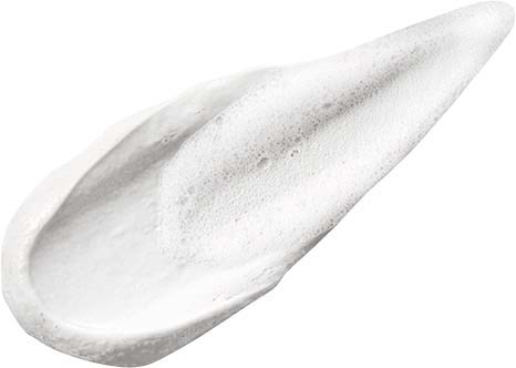 A white shell with a long, pointed tip and a curved shape. It looks smooth and shiny.