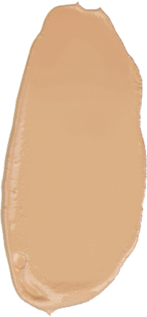 the Balm Anne T. Dotes Tinted Moisturizer #14