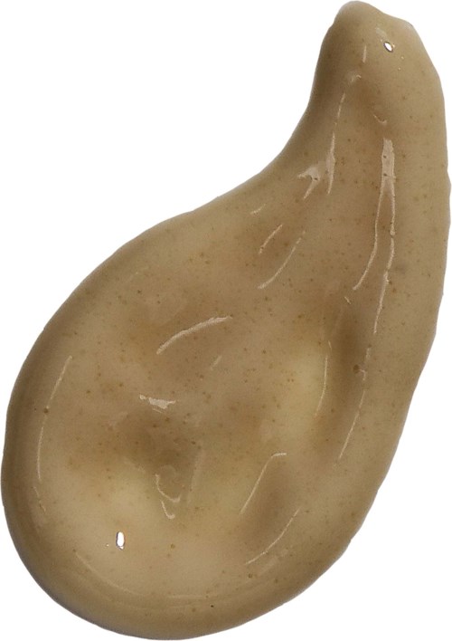 Een beige, boonvormig, glad voorwerp met glanzende oppervlak en kleine gaten.