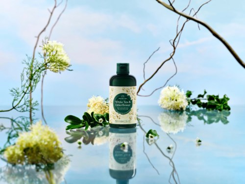 Eine Flasche Weißtee und Holunderblütenspray mit Blumen und Zweigen, blauer Himmel im Hintergrund.
