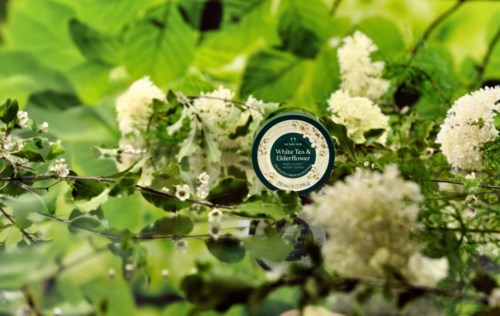 Kleiner Behälter mit weißem Tee- und Holunderblütenduft zwischen Büsche und weißen Blumen.