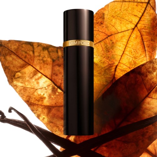 A black cylindrical lipstick tube with gold band, surrounded by orange and brown autumn leaves.