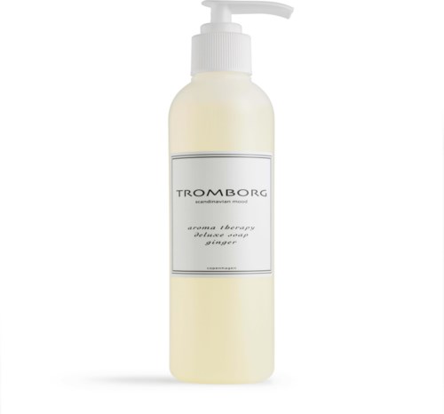 Eine weiße Flasche mit Pumpe, beschriftet 'TROMBORG aroma therapy ginger soap.'