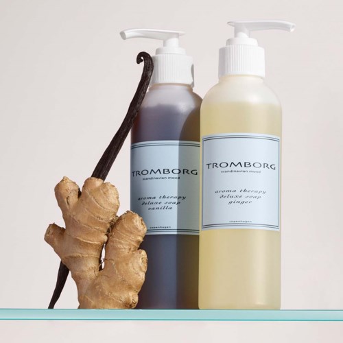 Zwei Flaschen mit 'Aromatherapie' beschriftet, Vanille und Ingwer, neben Ingwerknolle und Vanilleschote.