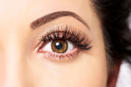 Close-up of a woman's eye with makeup, long eyelashes, and well-shaped eyebrow.