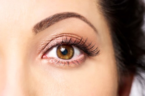 Close-up of a brown eye with makeup and long eyelashes, showing detail and color.