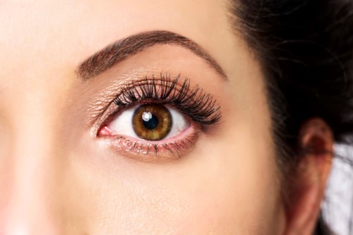 Close-up of a woman's eye with makeup, a brown iris, and long eyelashes.