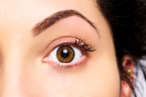 Close-up of a woman's eye, brown iris, long lashes, and well-shaped eyebrow, with light skin. Hair is dark and wavy.