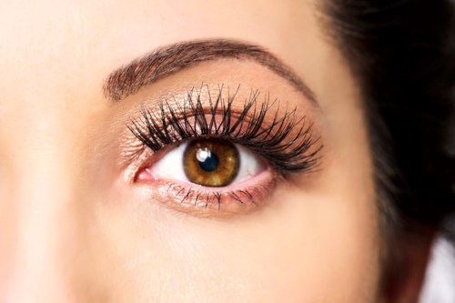 Close-up of a woman's eye with long eyelashes, brown iris, and well-groomed eyebrow.