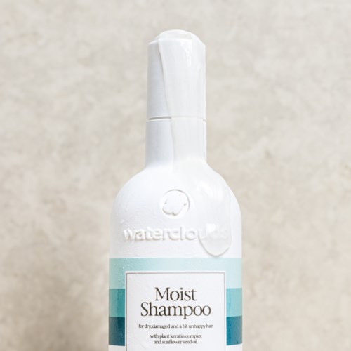 A white bottle with a flip cap, labeled "Moist Shampoo" for dry hair, featuring a blue design.