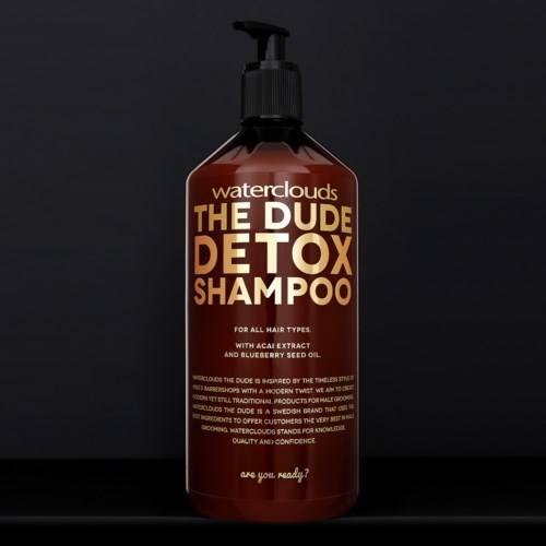 Dark brown shampoo bottle with pump, label says 'Waterclouds The Dude Detox Shampoo' for all hair types.