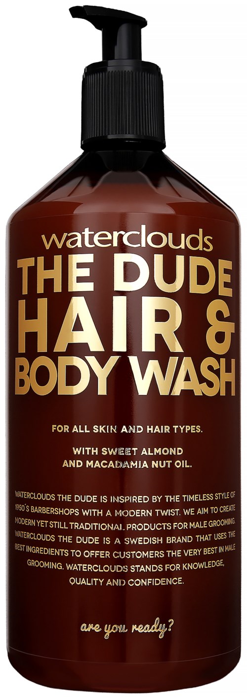 A brown bottle with a black pump, labeled as waterclouds THE DUDE HAIR & BODY WASH, with information in gold and white.