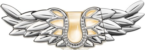 Ein glänzendes Abzeichen mit Flügeln und Hufeisen, verziert mit kleinen Edelsteinen. Es sieht elegant und stilvoll aus.